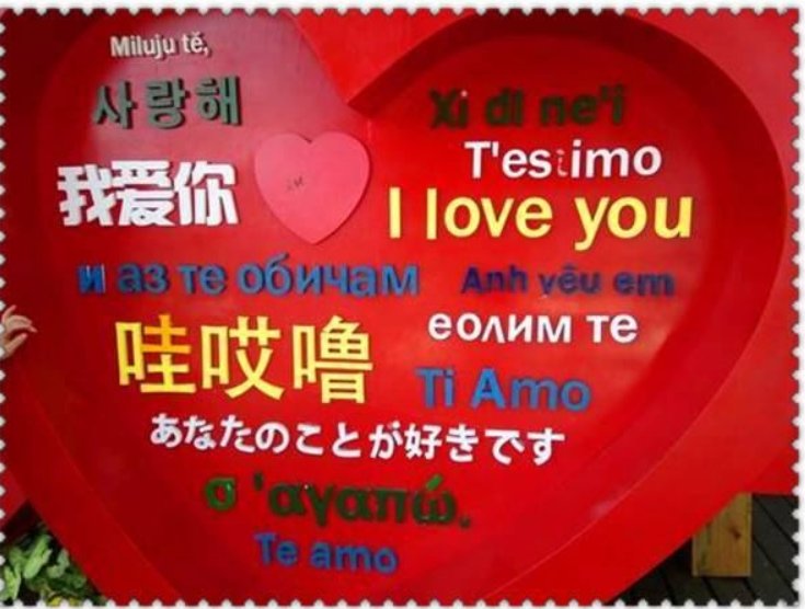 teamo和tiamo的区别