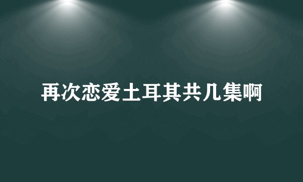 再次恋爱土耳其共几集啊