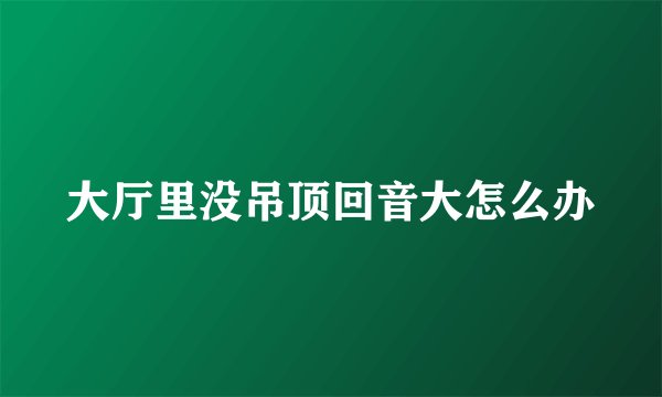 大厅里没吊顶回音大怎么办