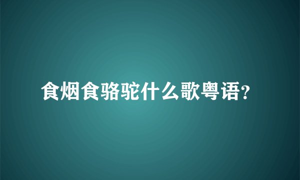 食烟食骆驼什么歌粤语？