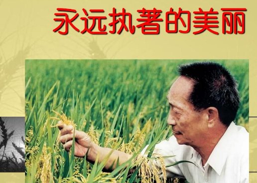 《永远执著的美丽》 分段