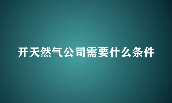 开天然气公司需要什么条件