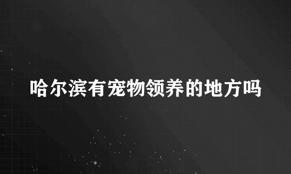 哈尔滨有宠物领养的地方吗