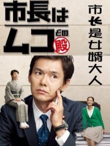 市长是女婿大人的角色简介