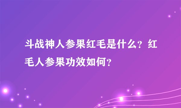 斗战神人参果红毛是什么？红毛人参果功效如何？