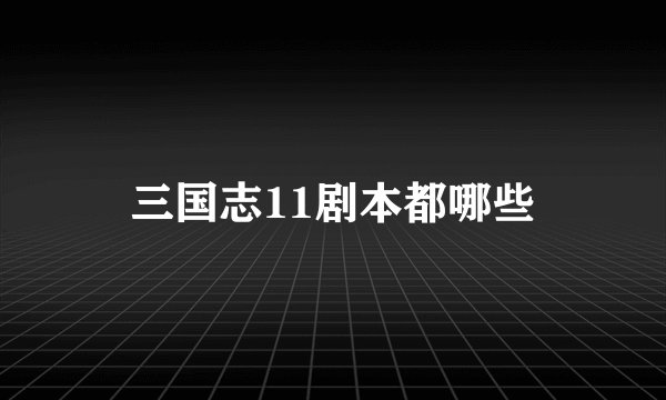 三国志11剧本都哪些