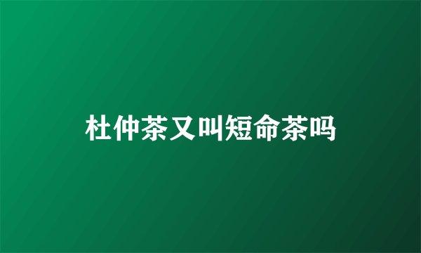 杜仲茶又叫短命茶吗