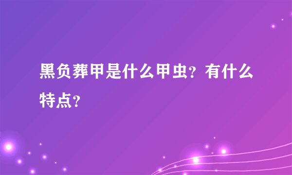黑负葬甲是什么甲虫？有什么特点？