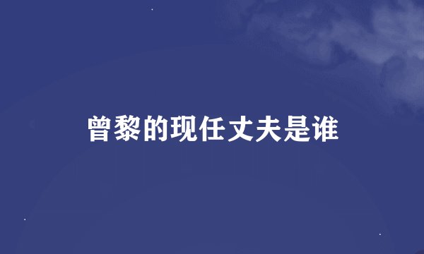 曾黎的现任丈夫是谁