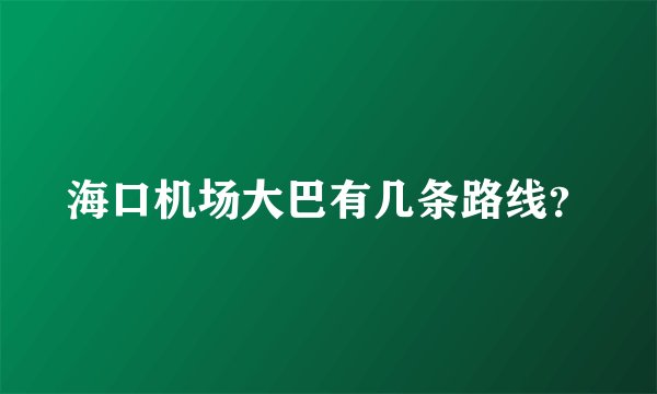 海口机场大巴有几条路线？
