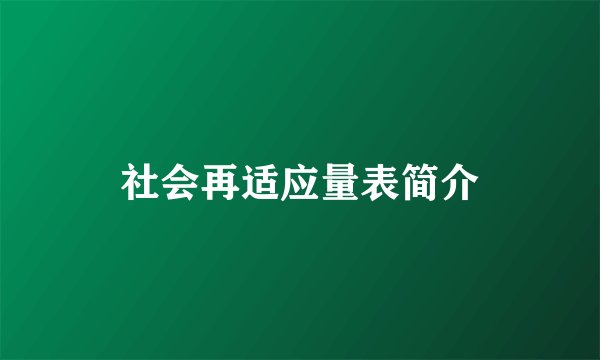 社会再适应量表简介