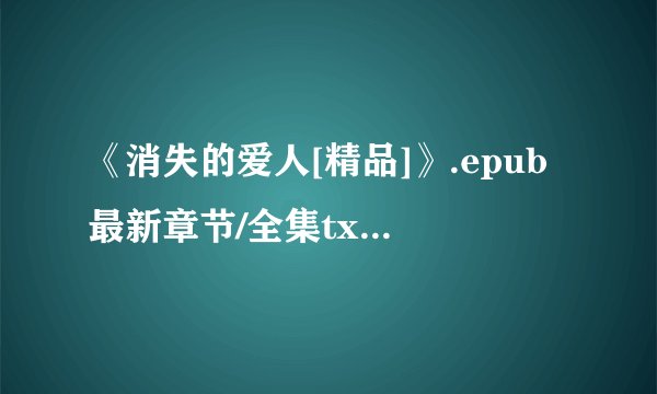 《消失的爱人[精品]》.epub最新章节/全集txt免费下载