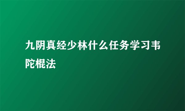 九阴真经少林什么任务学习韦陀棍法