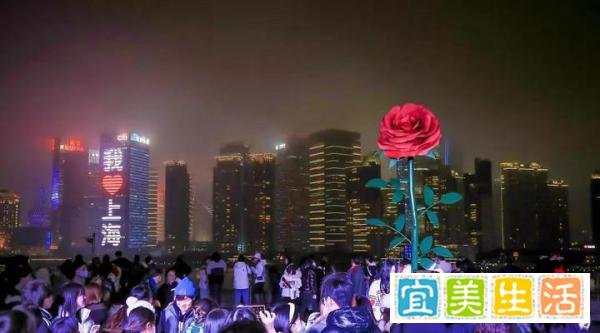 情人节浪漫氛围环绕，上海有哪些约会好去处？