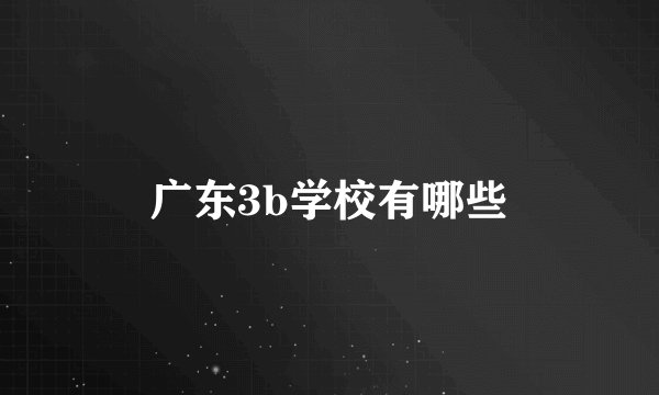 广东3b学校有哪些