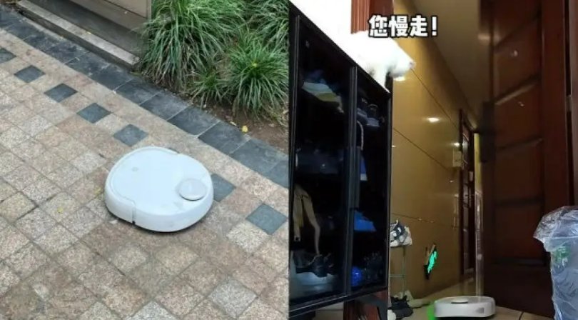 家中扫地机器人下27楼打扫,主人查看监控哭笑不得!现在的猫都这么聪明?