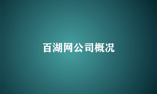 百湖网公司概况