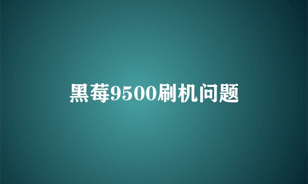 黑莓9500刷机问题