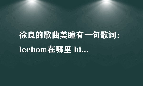 徐良的歌曲美瞳有一句歌词：leehom在哪里 bieber在哪里 是什么意思，求解