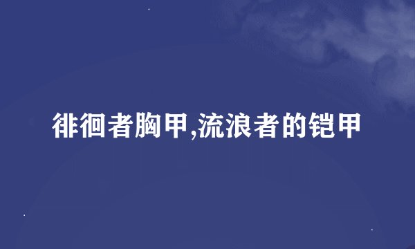 徘徊者胸甲,流浪者的铠甲