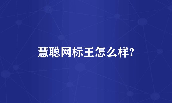 慧聪网标王怎么样?