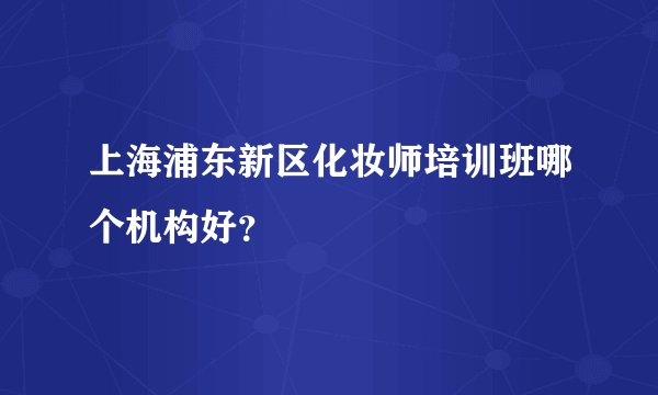上海浦东新区化妆师培训班哪个机构好?