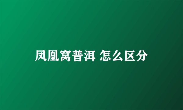 凤凰窝普洱 怎么区分