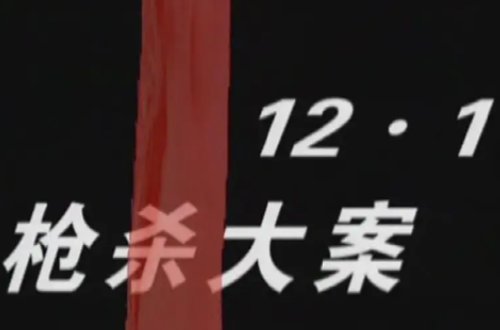 10大悍匪改编的电视剧