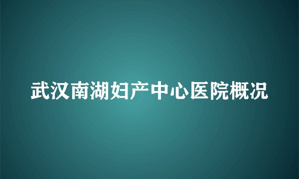 武汉南湖妇产中心医院概况