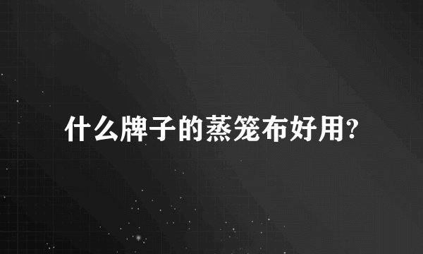 什么牌子的蒸笼布好用?