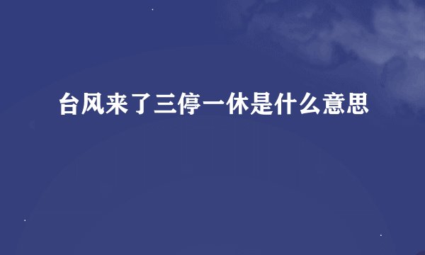 台风来了三停一休是什么意思