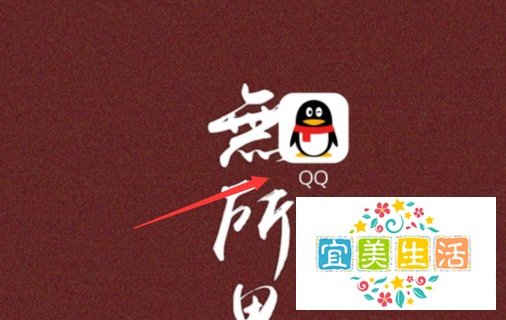 手机QQ怎么查看魅力值，手机QQ魅力值查看方法