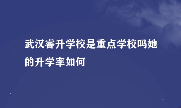 武汉睿升学校是重点学校吗她的升学率如何