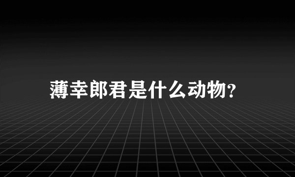 薄幸郎君是什么动物？