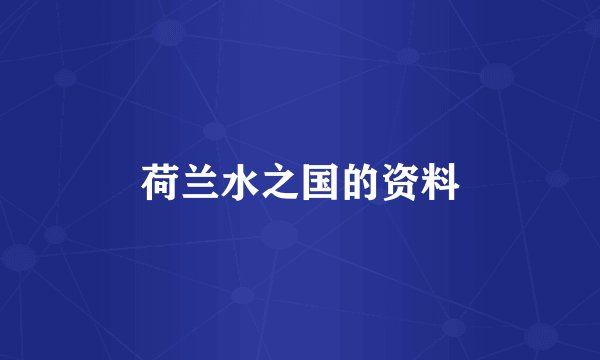 荷兰水之国的资料
