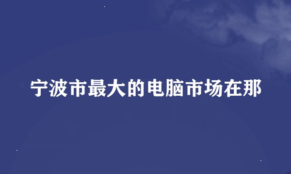 宁波市最大的电脑市场在那