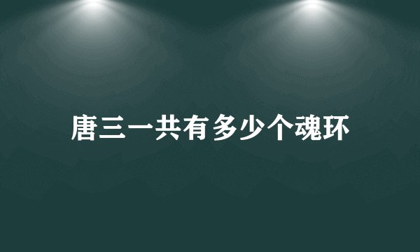 唐三一共有多少个魂环
