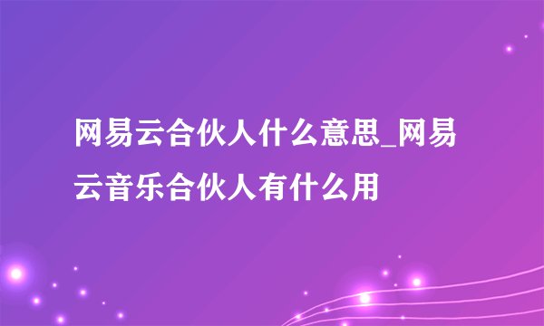 网易云合伙人什么意思_网易云音乐合伙人有什么用