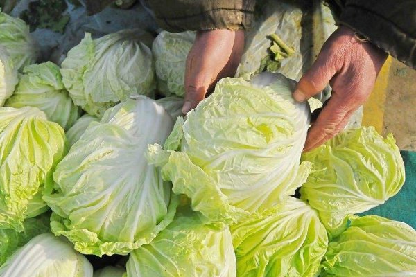 韩国一名大妈吐槽白菜比中国贵10倍,韩国的白菜为何这么贵?