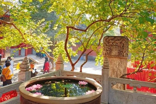红螺寺怎么去最方便呢