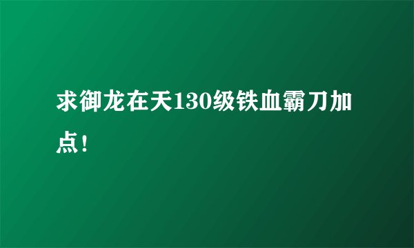求御龙在天130级铁血霸刀加点！
