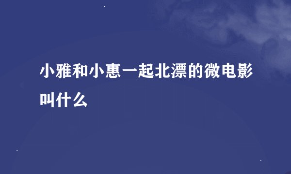 小雅和小惠一起北漂的微电影叫什么