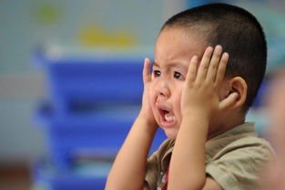 萌娃给老师发语音:不想上学想捡垃圾!如何正确引导孩子?