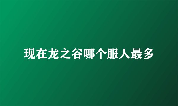 现在龙之谷哪个服人最多