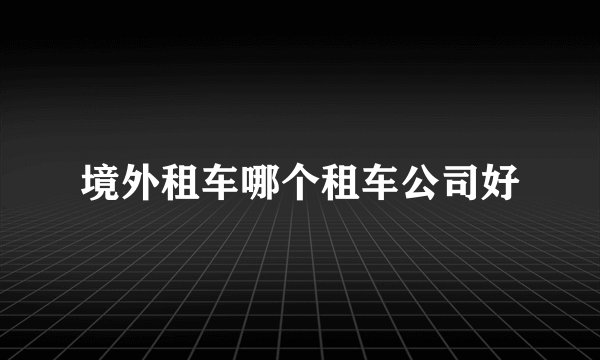 境外租车哪个租车公司好