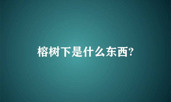 榕树下是什么东西?