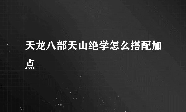 天龙八部天山绝学怎么搭配加点