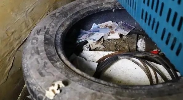 四川泸州一只老鼠盗窃1800多元现金建“豪宅”,老鼠的破坏力有多强?