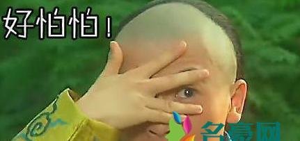 画面太美我不敢看是什么梗什么意思 画面太美我不敢看的出处