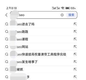 网传某黑帽SEO培训大V出事了
